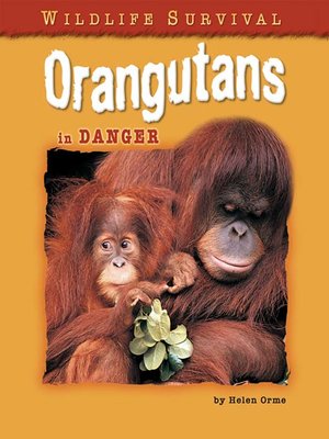 cover image of Orangutans in Danger